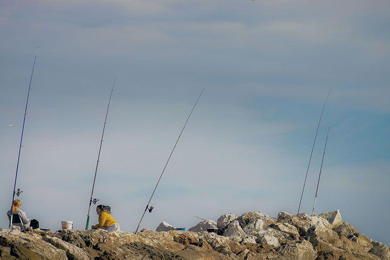 Pesca